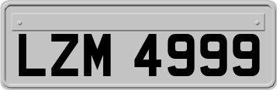 LZM4999