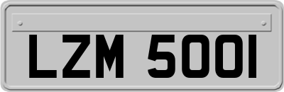 LZM5001