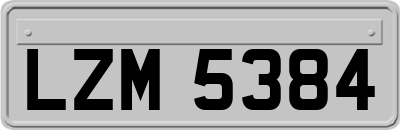 LZM5384