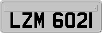 LZM6021