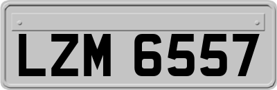 LZM6557