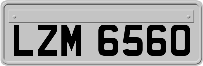 LZM6560