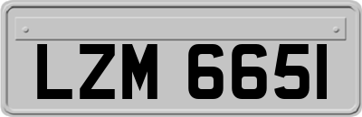 LZM6651