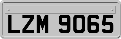 LZM9065