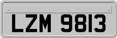 LZM9813