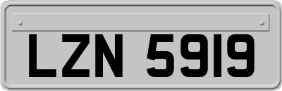 LZN5919