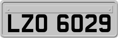 LZO6029