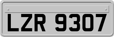 LZR9307