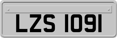 LZS1091
