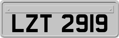 LZT2919