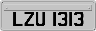 LZU1313