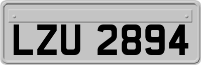 LZU2894