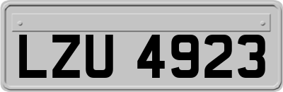 LZU4923