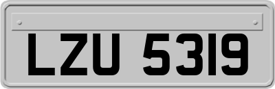 LZU5319