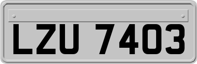 LZU7403
