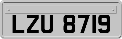 LZU8719