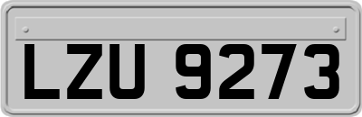 LZU9273