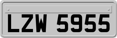LZW5955