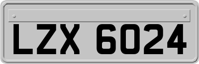 LZX6024
