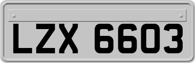 LZX6603