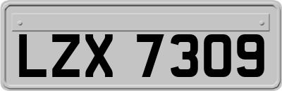LZX7309