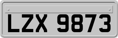 LZX9873