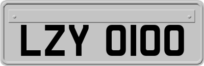 LZY0100