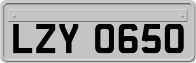 LZY0650
