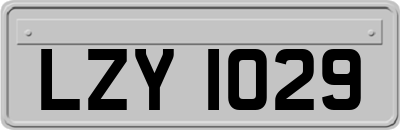 LZY1029