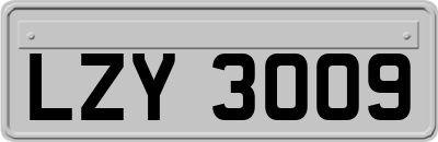 LZY3009