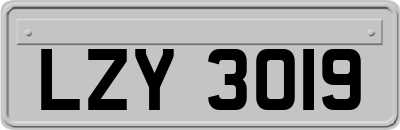 LZY3019