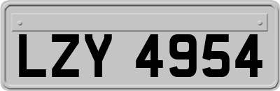 LZY4954