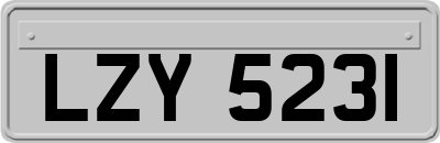LZY5231