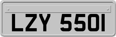 LZY5501