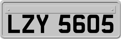 LZY5605