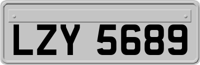 LZY5689