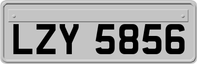 LZY5856