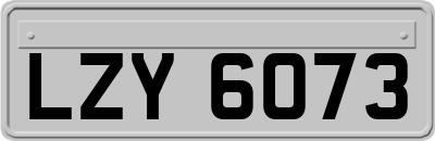 LZY6073