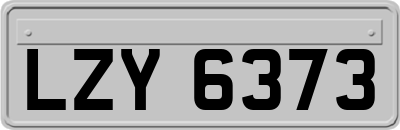LZY6373