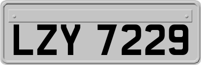 LZY7229
