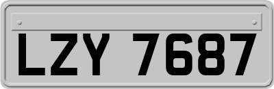 LZY7687