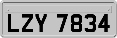 LZY7834