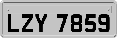 LZY7859