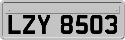 LZY8503