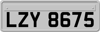 LZY8675