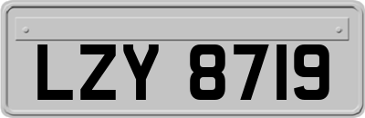 LZY8719