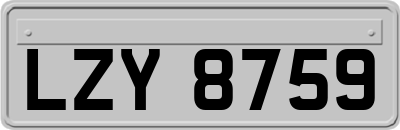LZY8759