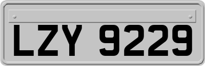 LZY9229