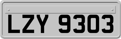 LZY9303