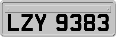 LZY9383